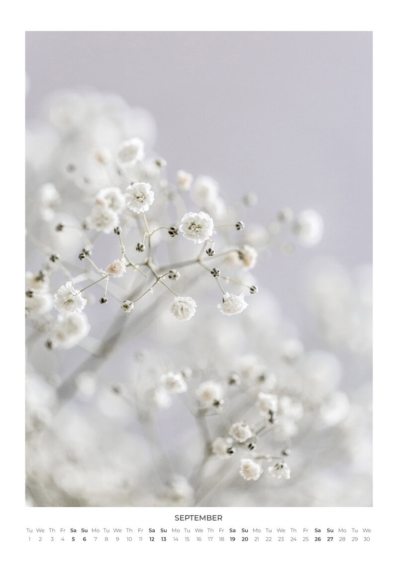 Blumen Kalender 2026 - In Bloom von Mareike Böhmer