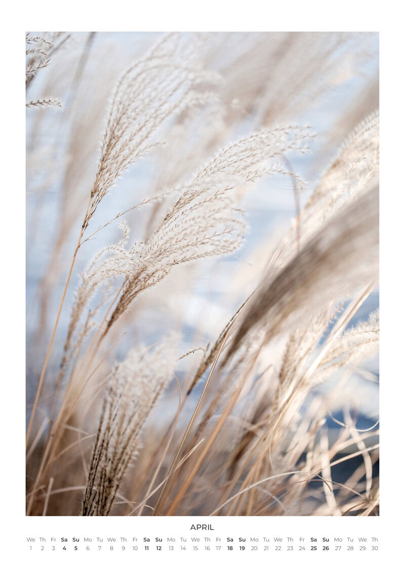 2026 Moments in Nature Calendar