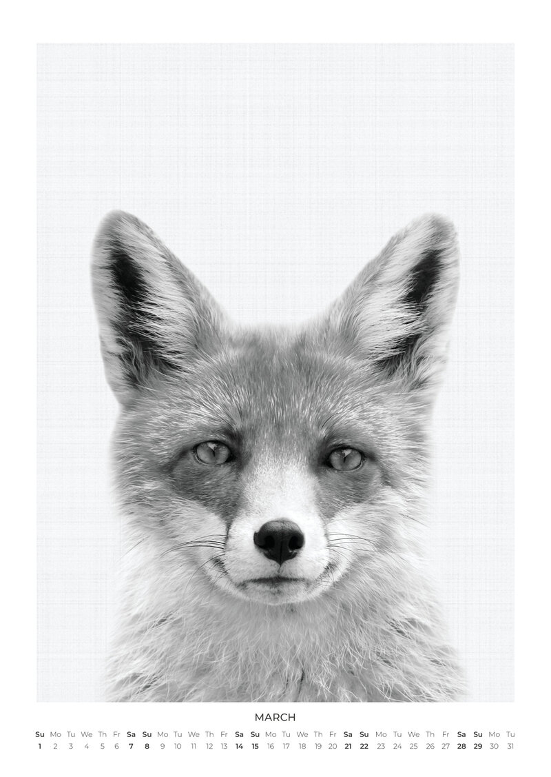 Tierportraits Kalender 2026