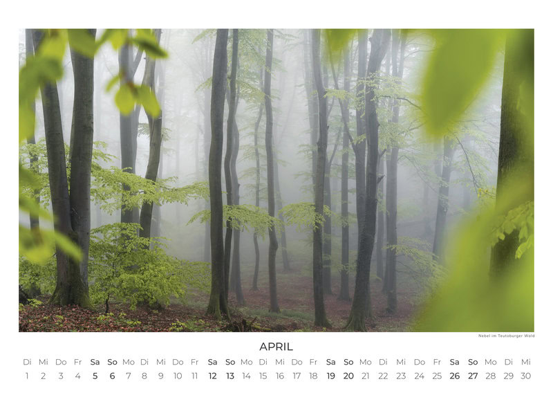 Deutschlands Wilde Wälder Calendar 2026