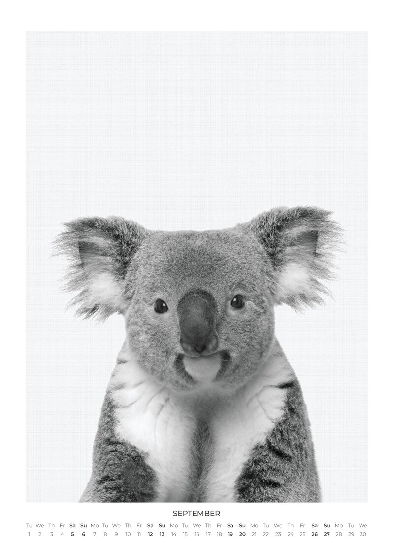 Tierportraits Kalender 2026