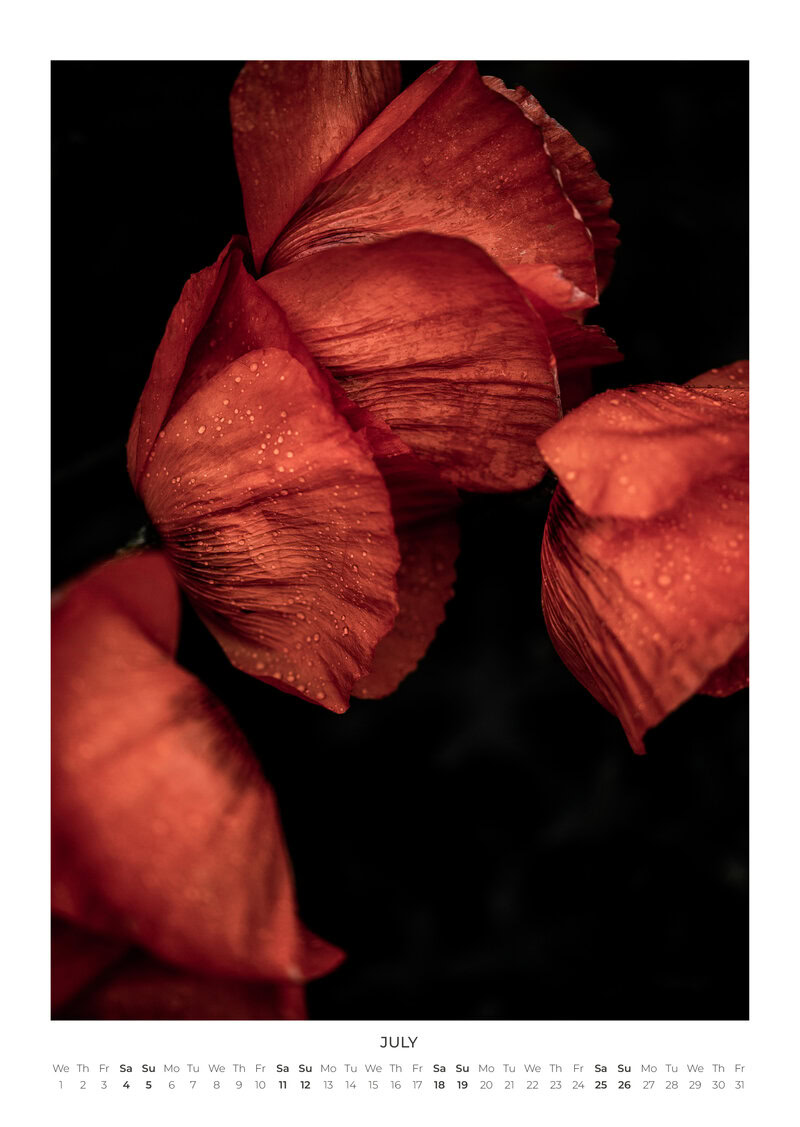 Blumen Kalender 2026 - In Bloom von Mareike Böhmer