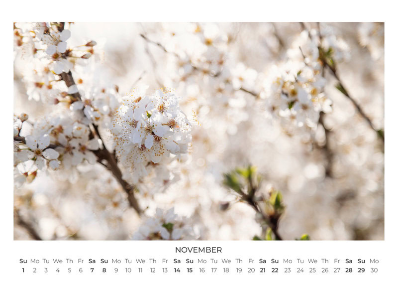 2026 Wildflower Dreams Calendar