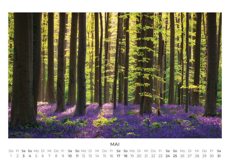 2026 Forest and Trees Calendar