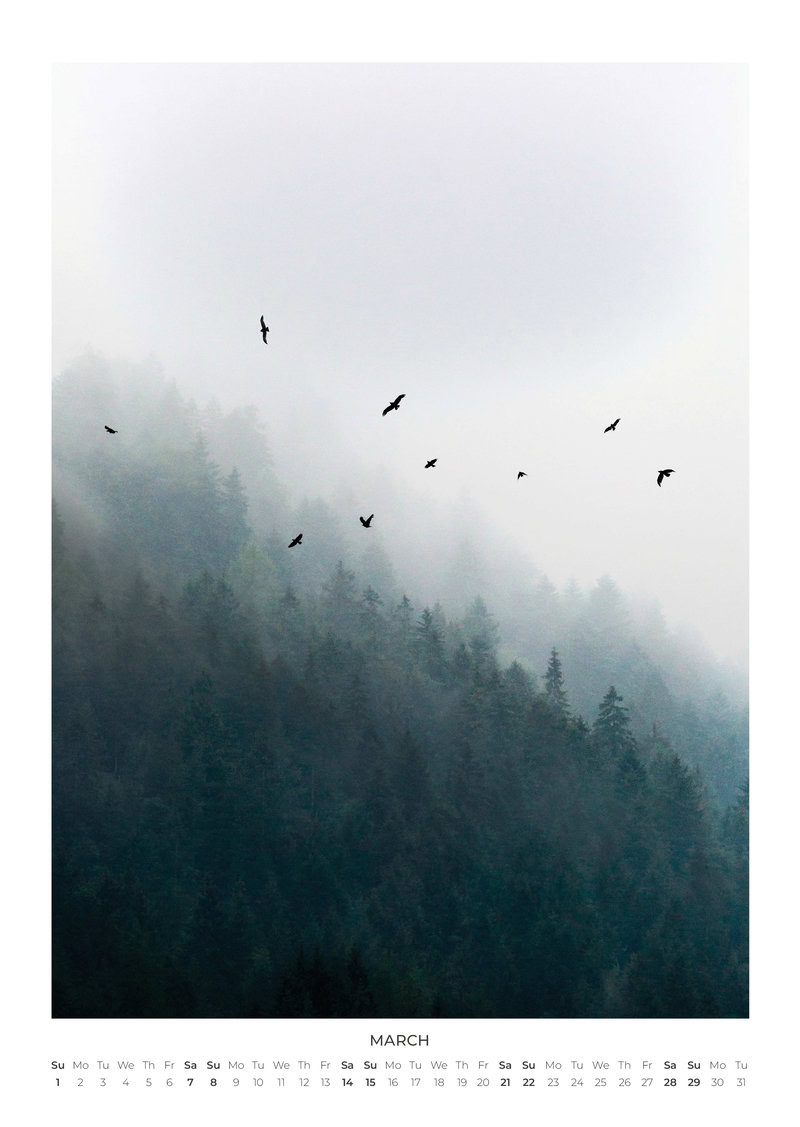 2026 Moments in Nature Calendar
