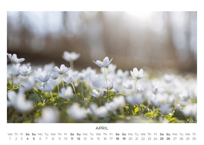 2026 Wildflower Dreams Calendar