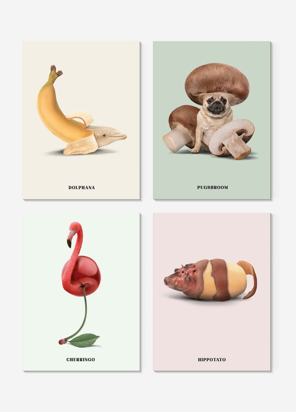 Postcard set - Foodimals Postkartenset