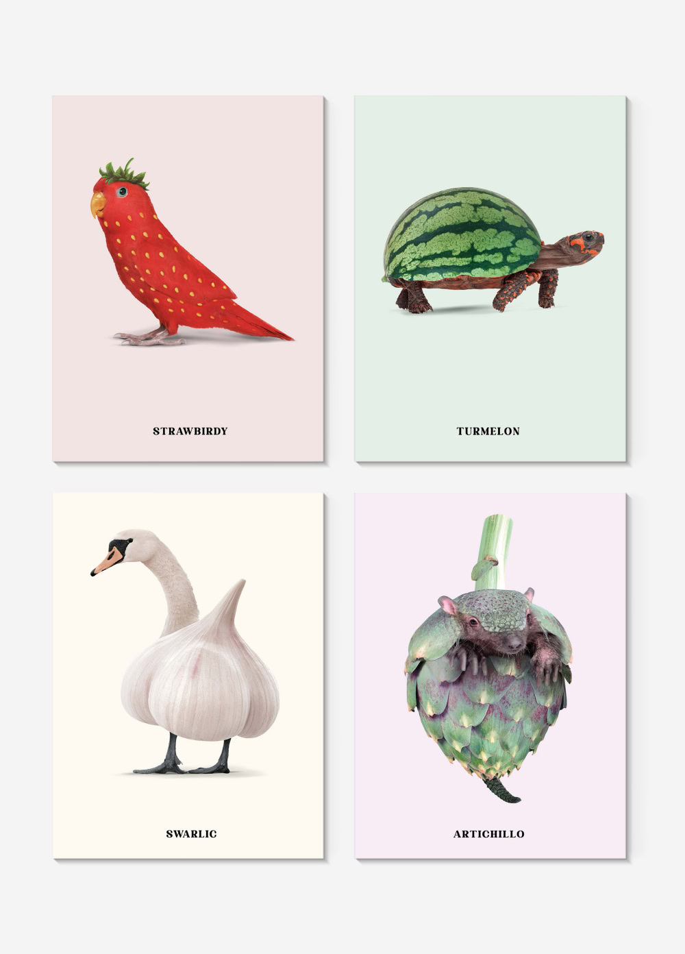 Postcard set - Foodimals Postkartenset