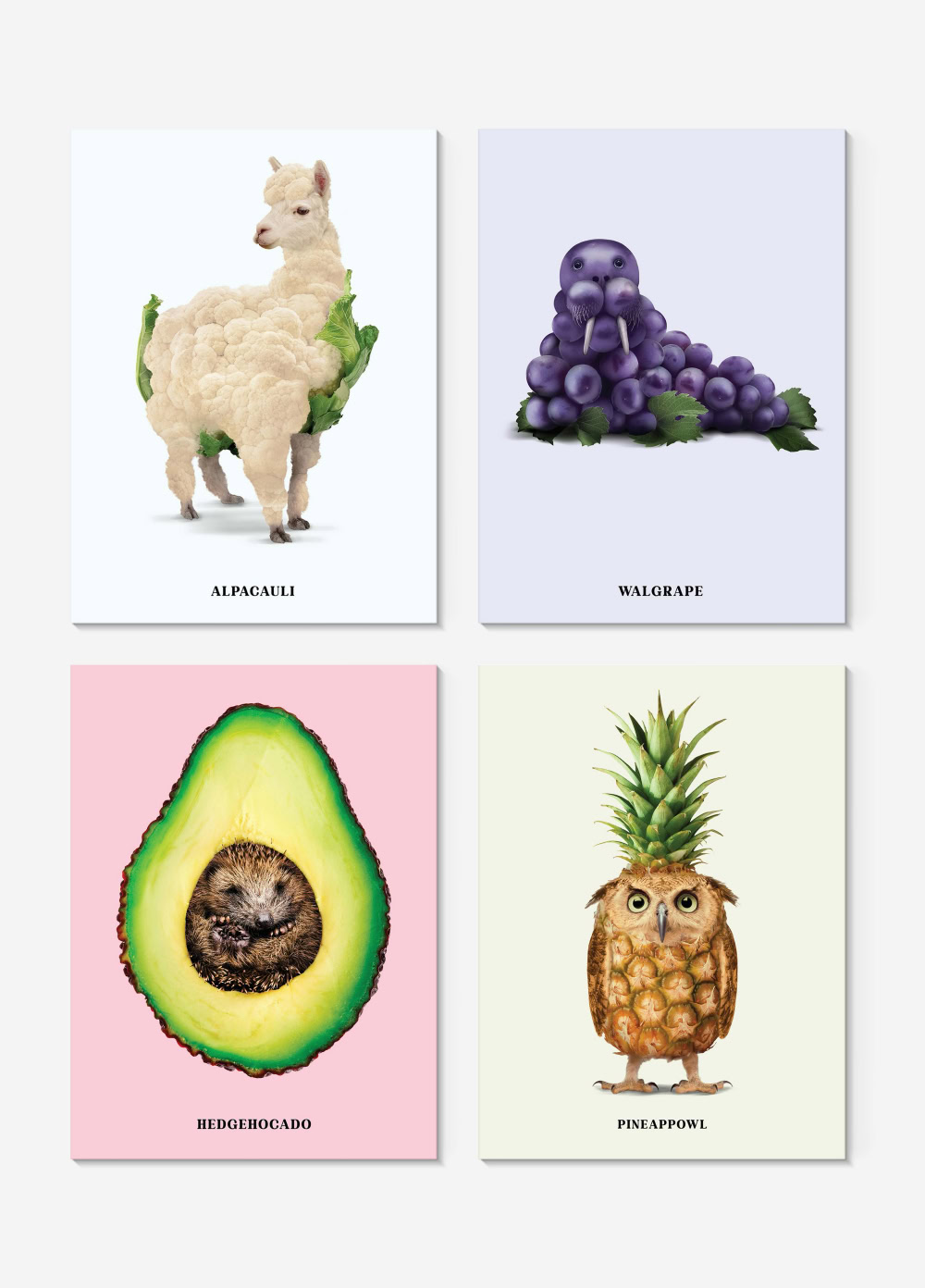 Postcard set - Foodimals Postkartenset