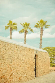 Tres palmeras, España – Arte mural de Anke Dörschlen en formato póster o impresión sobre vidrio acrílico