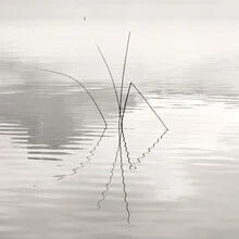 Reflets du silence, Allemagne – œuvre d'art de Lena Weisbek, affiche ou impression sur verre acrylique