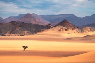 Namibia Damaraland Wüste - fotokunst von Jean Claude Castor