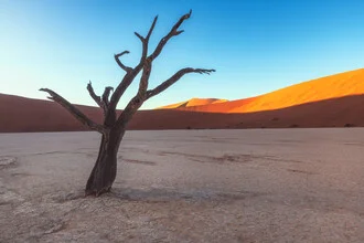 Namibia Deadvlei - fotokunst von Jean Claude Castor