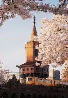 Photo art by Patrick Noack: Oberbaum Bridge surrounded by blooming cherry trees
