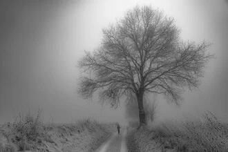 Der Baum - fotokunst von Sascha Hoffmann-Wacker