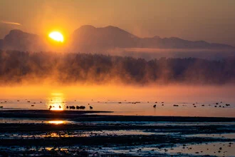 Winter Morning at Lake Chiemsee - Fineart photography by Martin Wasilewski