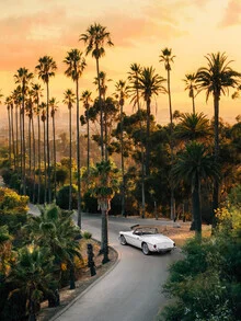 Sunset Boulevard, United States – wall art by Gal Pittel as Poster or Acrylic Glass Print