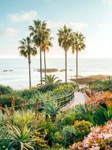 Beachside Bloom, United States – wall art by Gal Pittel as Poster or Acrylic Glass Print