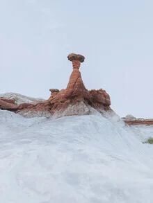 Toadstool Hoodoos, Utah, Vereinigte Staaten – Fotokunst von Reiner Hofer als Poster oder Acrylglasbild