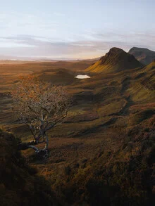 Sartle, Schottland, Großbritannien – Fotokunst von Reiner Hofer als Poster oder Acrylglasbild