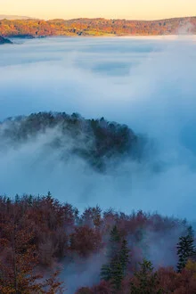 Waldlandschaft mit Sonnenaufgang über einem Nebelmeer von Martin Wasilewski