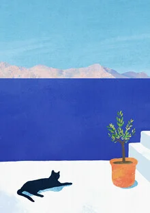 'Cat Siesta' – Wall Art by Henry Rivers as Poster or Acrylic Glass Print