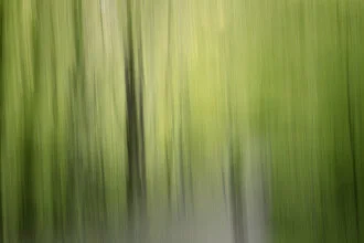 Verwischer Wald, Deutschland – Fotokunst von Nadja Jacke als Poster oder Acrylglasbild