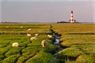 Achim Thomae, Leuchtturm Westerheversand - Deutschland, Europa