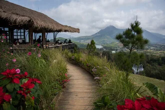 Photo art by Thomas Junklewitz: blooming roses on a farm in Vietnam.