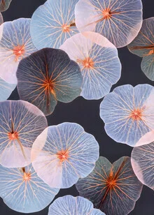 Wandbild von Uma Gokhale: sanfte botanische Collage mit durchscheinenden Blättern