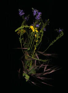 Fotokunst von Ramona Reimann: bunte Wiese mit wildblühenden Pflanzen