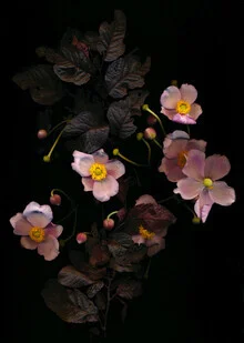 Fotokunst von Ramona Reimann: zarter Blumenstrauß in sanften Farben und harmonischer Komposition