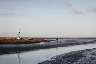 Fotokunst von Manuela Deigert: ruhiger Priel mit Möwe und sanften Wasserreflexionen