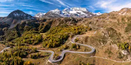 Fotokunst von Achim Thomae: Piz Bernina umgeben von bunten Lärchen im Herbst
