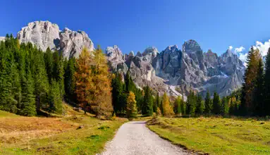 Beautiful landscape featuring larches and mountains in Val Venegia, South Tyrol.