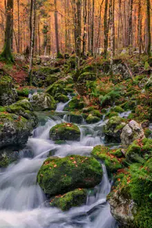 Charming autumn scene in Triglav National Park with colorful foliage and a babbling waterfall.