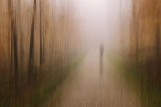 Steps through the abstract forest, long exposure with camera movement.