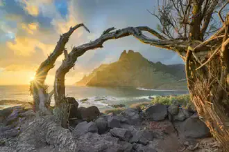 Photo art by Michael Valjak: gentle waves at the coast of Punta del Hidalgo