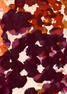 Abstrakte Fotokunst von Uma Gokhale: sanfte Farben und florale Elemente