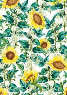 Wandbild von Uma Gokhale: bunte Sonnenblumen in einem idyllischen Tal.