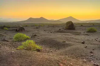 Vulkanlandschaft auf Lanzarote bei Morgendämmerung, friedliche Stimmung mit sanften Farben.
