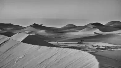 Fotokunst von Dennis Wehrmann: ruhige Dünenlandschaft in der Sahara
