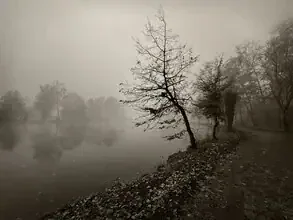 Photo art by Lena Weisbek: tranquil, foggy morning landscape by the river.