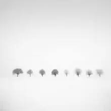 Photo art by Christian Janik: tranquil winter landscape with fog and snow-covered trees
