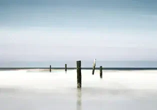 Fotokunst von Manuela Deigert: ruhige Küstenaufnahme mit Holzpfählen und sanften Wellen