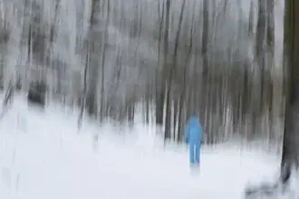 Verwischter Winterwald mit Spaziergängerin, sanfte Bewegungen im Schnee.