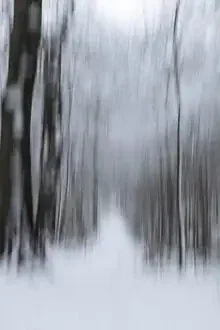 Fotokunst von Nadja Jacke: verwischter Weg in winterlicher Stille