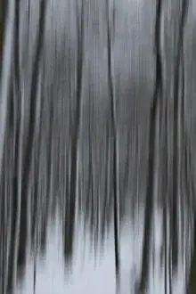 Verwischter Winterwald mit Schnee: ruhige Stille und sanfte Bewegungen der Baumstämme