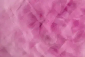 Fotokunst von Nadja Jacke: sanfte, fließende Blüten in sanften Farben