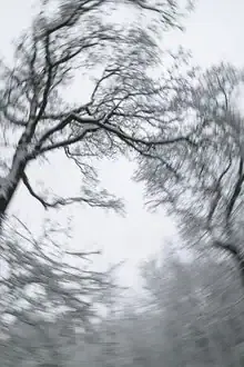 Abstract photo art: motion of branches in a winter forest with soft colors.